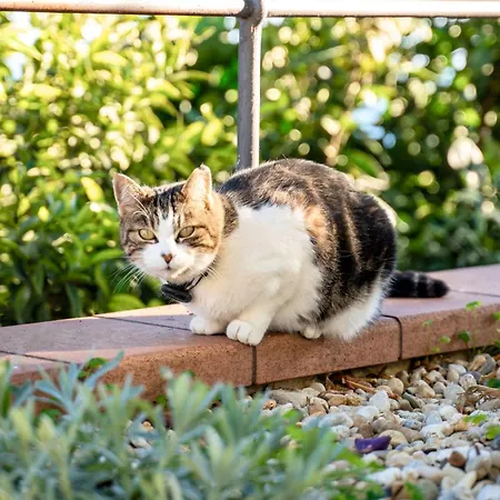 Borgo Pasqui 別荘 ディアーノ・カステッロ