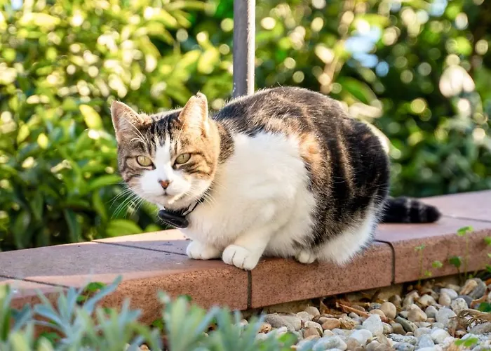 Borgo Pasqui Prázdninový dům Diano Castello