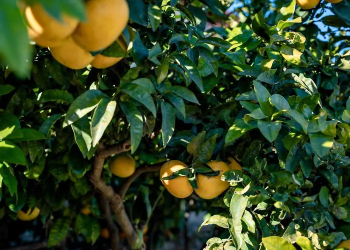 Nyaraló Borgo Pasqui Diano Castello